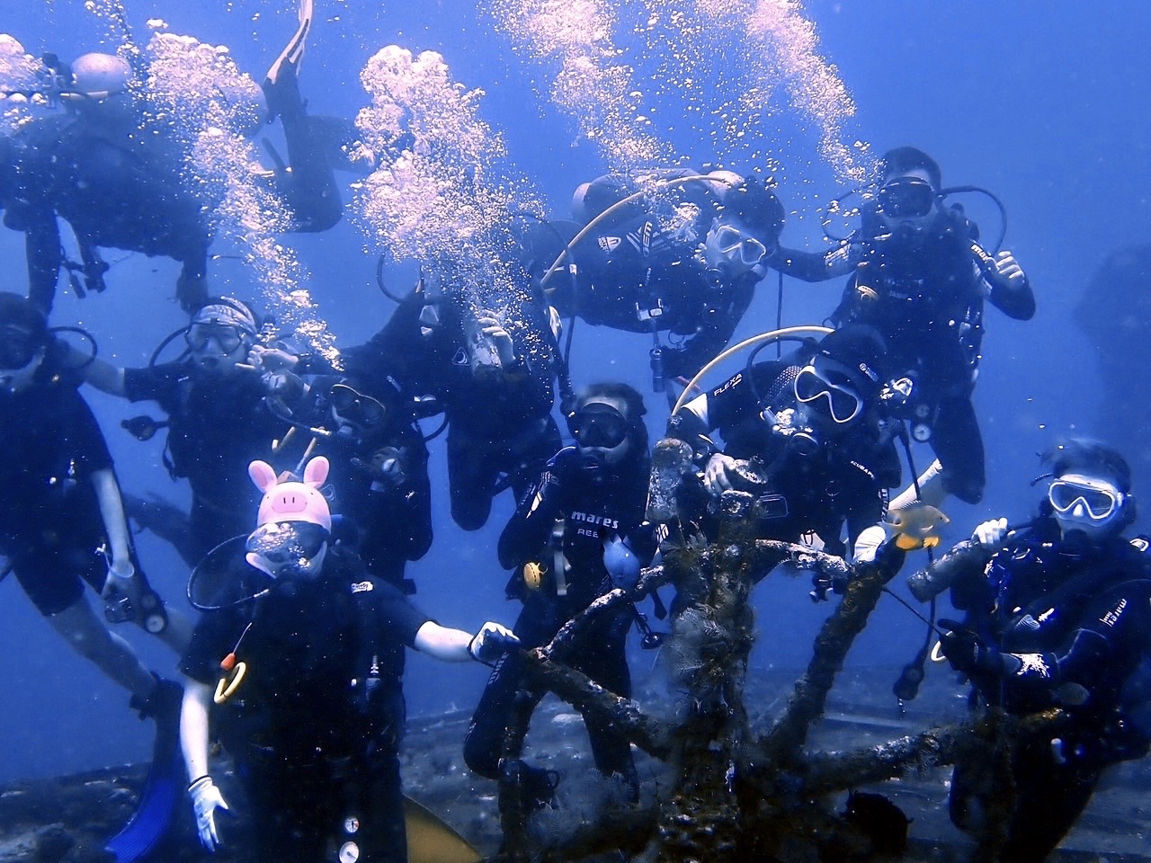 Fun Dive 照片 3