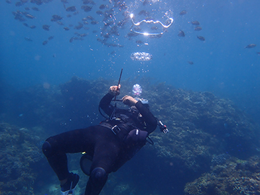 Fun Dive 照片 8