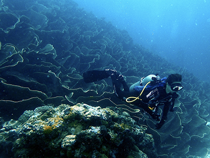 Fun Dive 照片 6