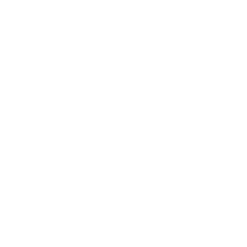 Pure Dive Logo